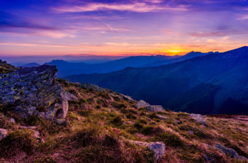 Aenean sed interdum quammus laoreet posuere pharet